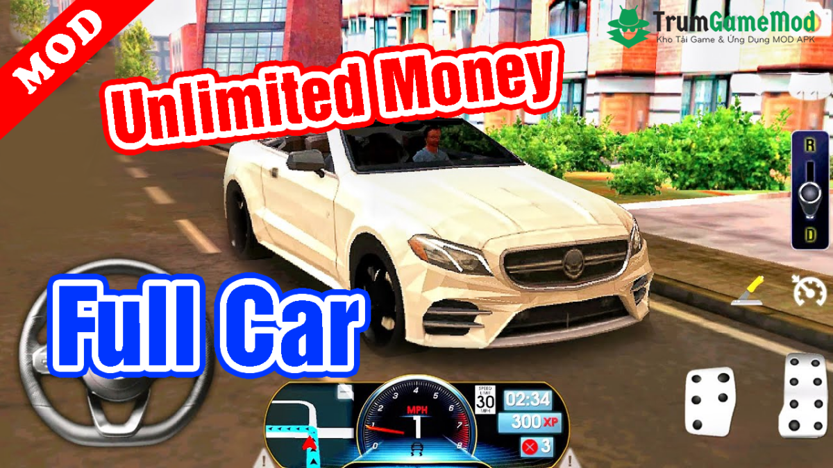 Real Driving Sim mod apk Real Driving Sim