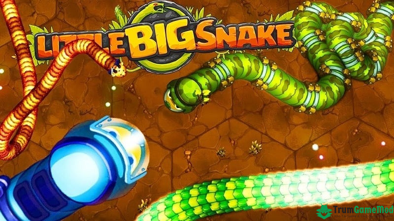 Khả năng sinh tồn trong thế giới của loài rắn trong little big snake