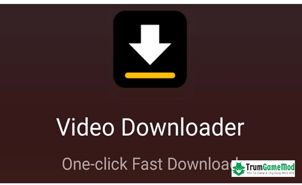 Video Downloader