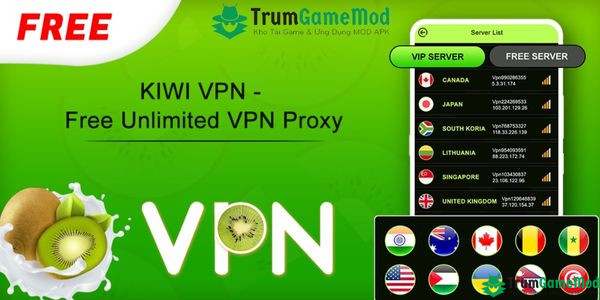 Kiwi VPN Proxy