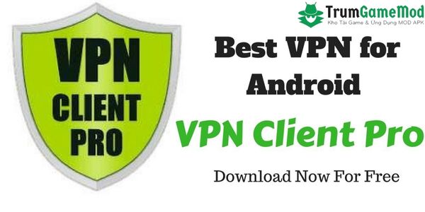 VPN Client Pro