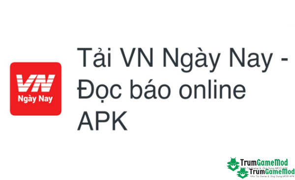 VN Ngày Nay