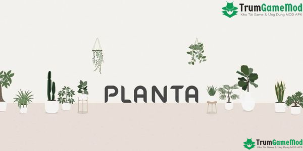 Planta