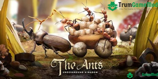 The Ants Underground Kingdom