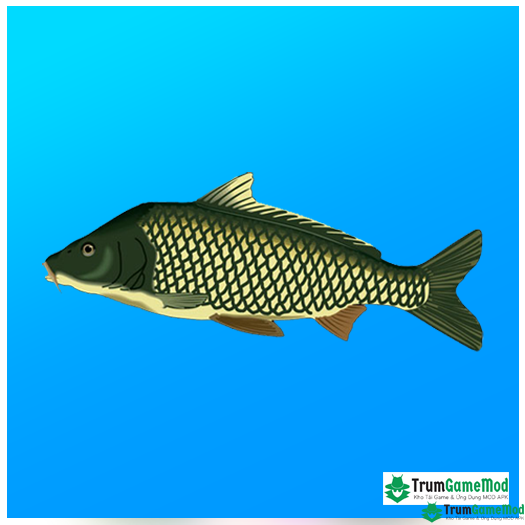 logo 73 Tải ứng dụng True Fishing MOD APK (Vô hạn tiền) v1.16.7.835