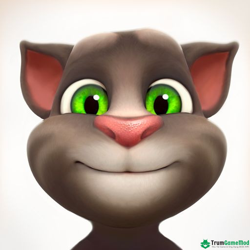 talking tom cat mod