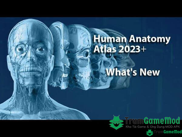 Human Anatomy Atlas 2023 Mod APK