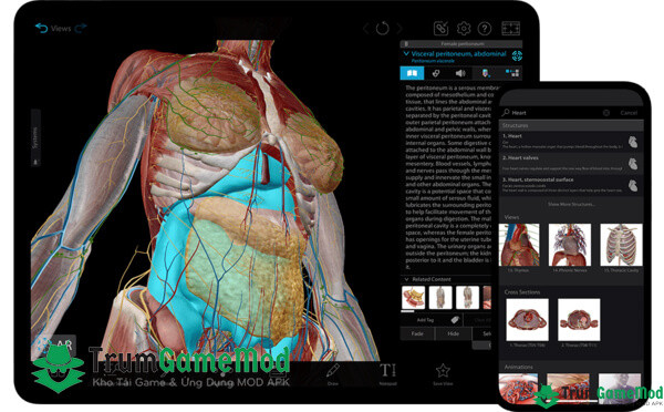 Human Anatomy Atlas 2023 Mod APK