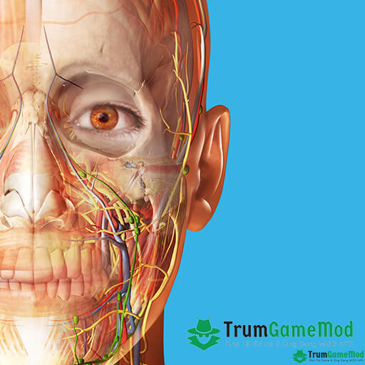 Human-Anatomy-Atlas-2023-mod-logo