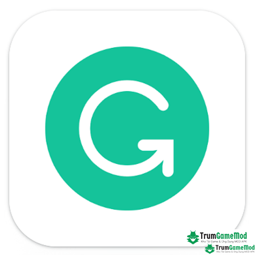 logo 31 Grammarly