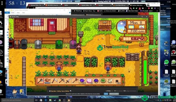 Tìm hiểu chi tiết phần mềm Stardew Save Editor