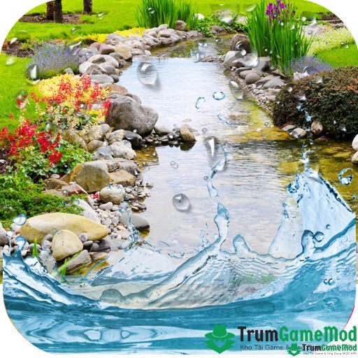 Water Garden Live Wallpaper: Ứng dụng hình nền động ao cá 3D