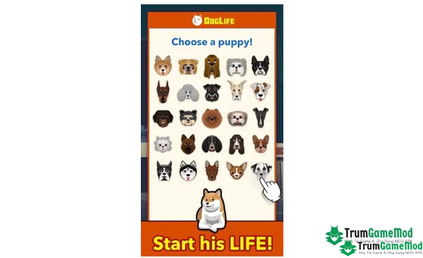 DogLife: BitLife Dogs Mod APK