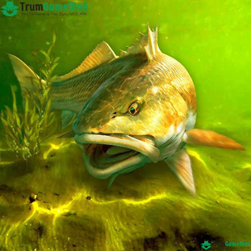 My Fishing World Mod: Game câu cá được nhiều người yêu thích trên di động 