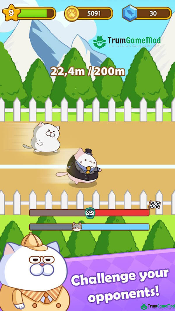 Giới thiệu về game giải trí Cat Run - Kitty Rush mod