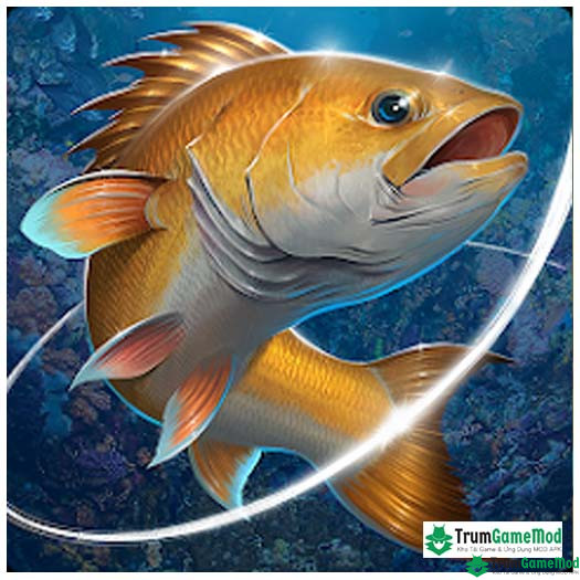 Fishing Hook logo Tải Fishing Hook Mod Apk (Unlimited Coins) v2.5.6