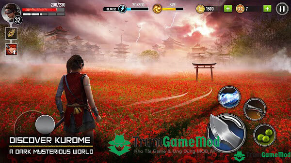 Giới thiệu về game hành động thú vị Ryuko - Legend of Shadow Hunter mod