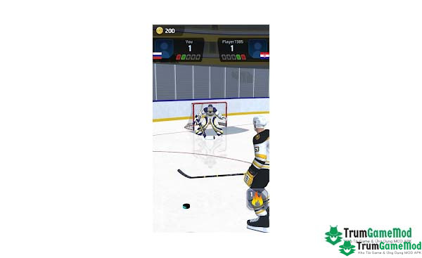 Hockey Game Stars 3D