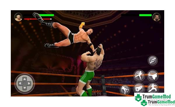 PRO Wrestling Fighting Game