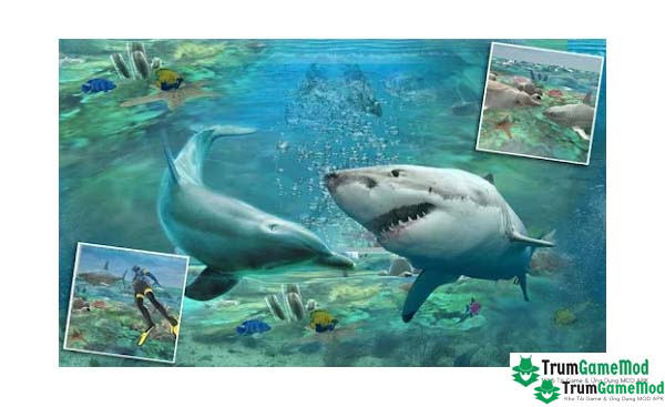 Giới thiệu tổng quan về game Shark Attack Spear Fishing 3D APK