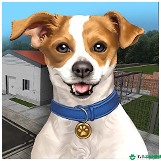 logo Animal Shelter Simulator Tải Game Animal Shelter Simulator APK v1.368