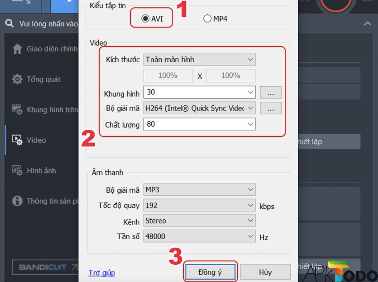 Tuỳ chỉnh Bandicam Crack